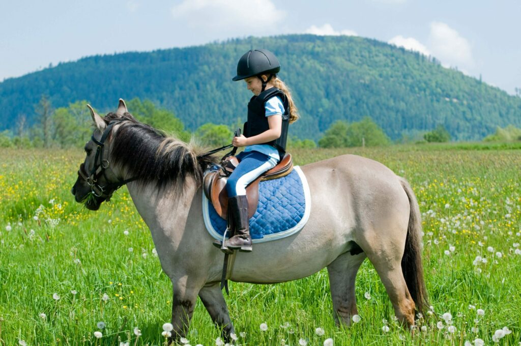 Kind, das in einer Wiese ein Icelandic Pferd reitet.