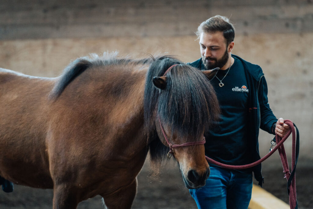 Ein Mann, der während einer Coaching-Sitzung mit Zeitgeschenk-Coaching von Karin Ettlins die Zügel eines Pferdes hält.