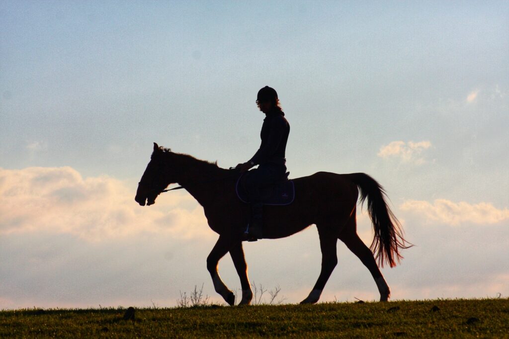 Silhouette einer Person, die ein Pferd reitet.