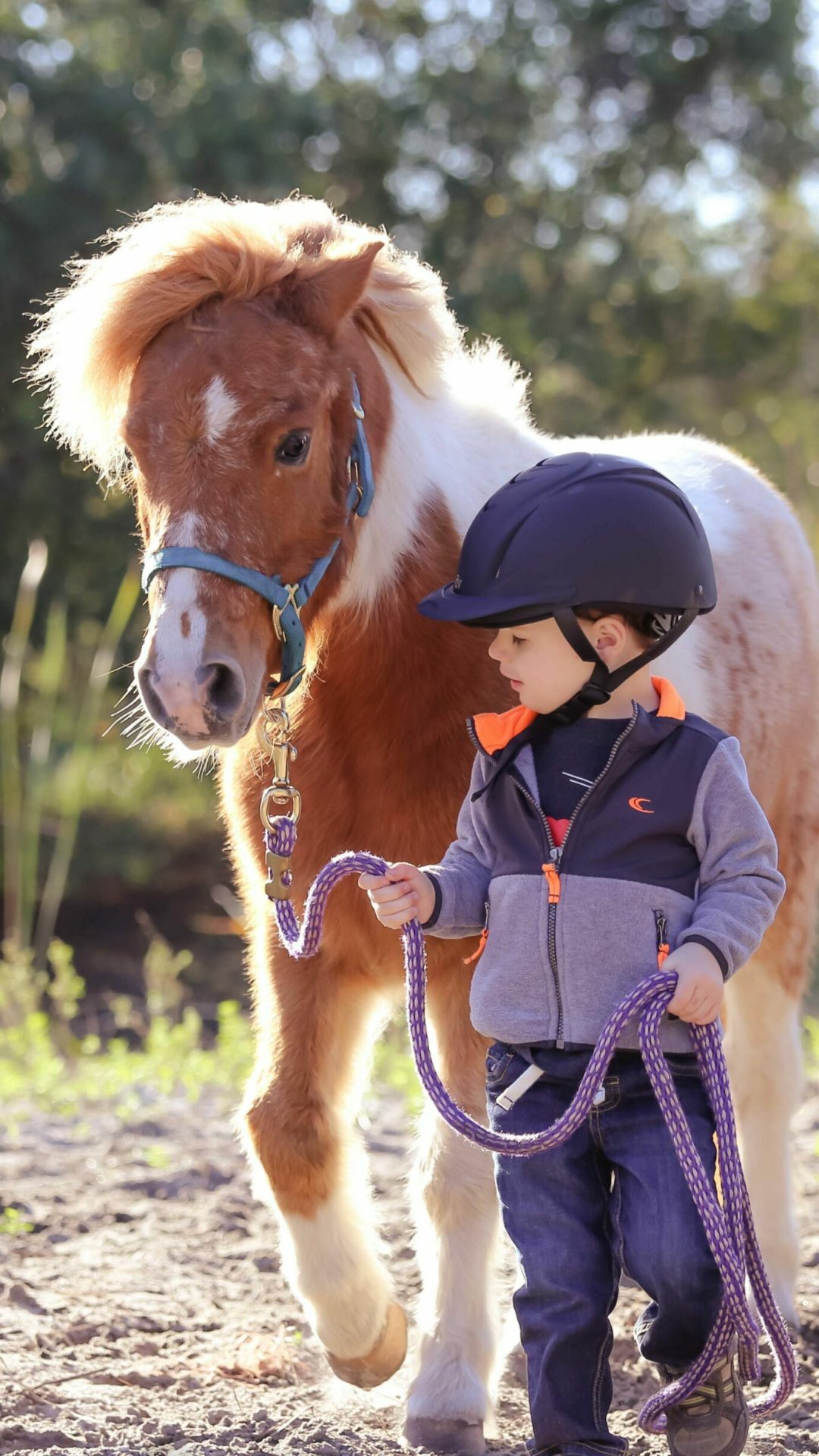 kinder pferd unterricht
