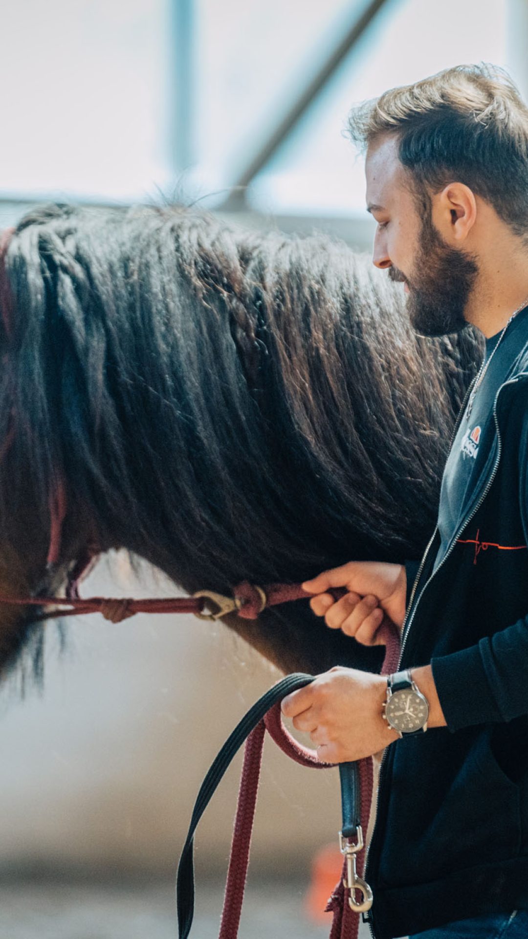 Ein Mann, der ein Islandpferd führt, während eines pferdegestützten Einzelcoaching-Programms bei Coaching Zeitgeschenk.