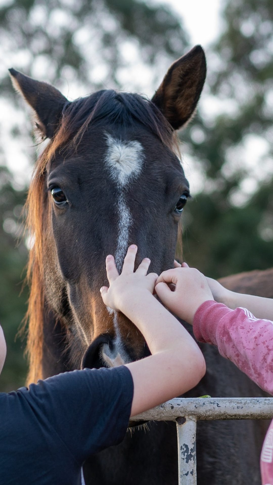Ein Pferd, das von fröhlichen Kindern gestreichelt wird, symbolisiert die positive Wirkung der Interaktion mit Tieren auf die familiäre Harmonie und das Wohlbefinden der Kinder.