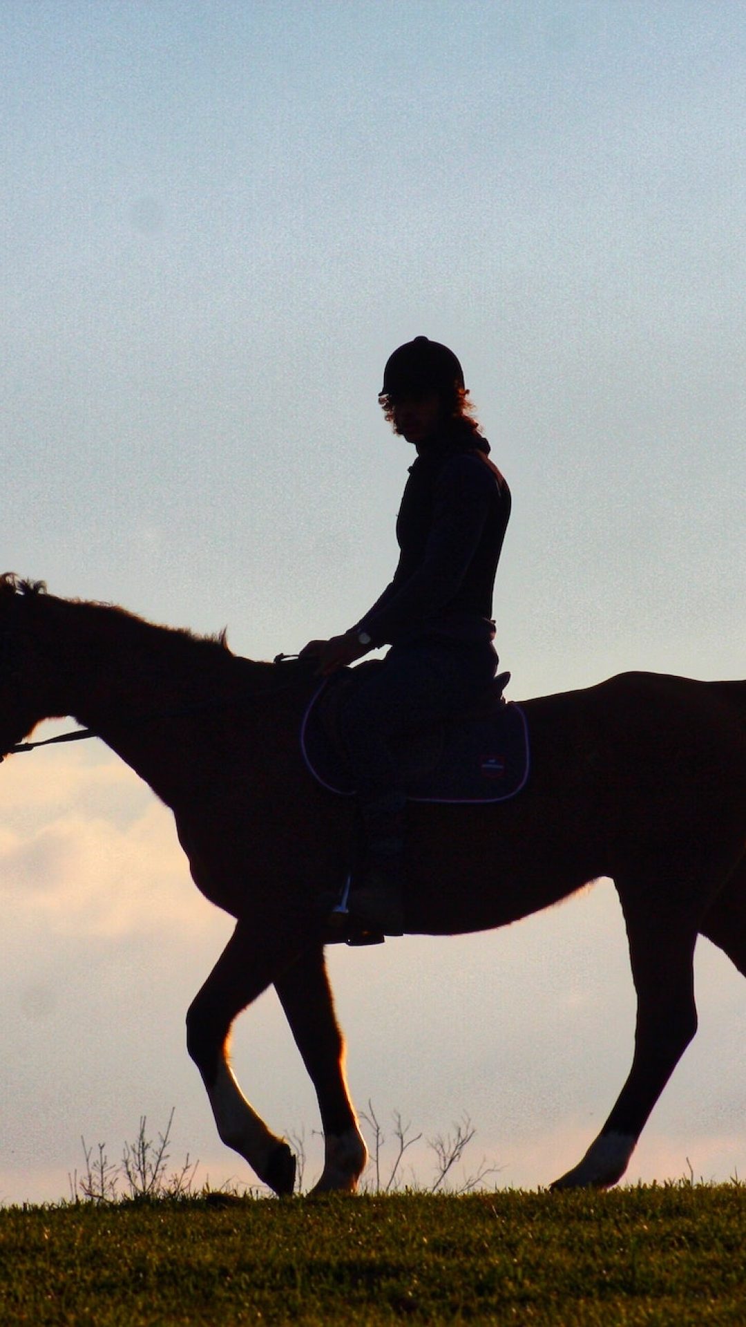 Silhouette einer Person, die ein Pferd reitet.